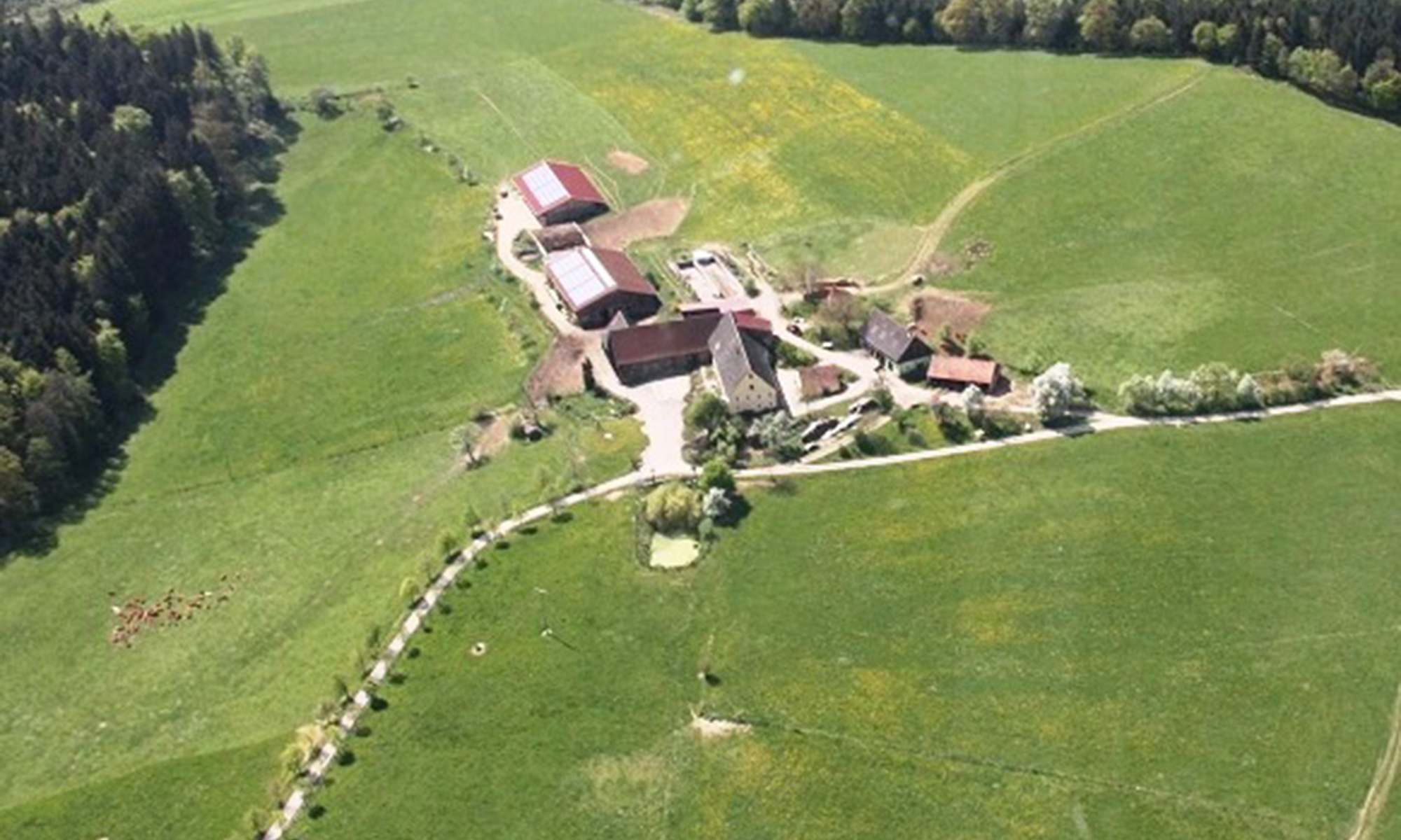 Bio-Bauernhof Mohrenstetten