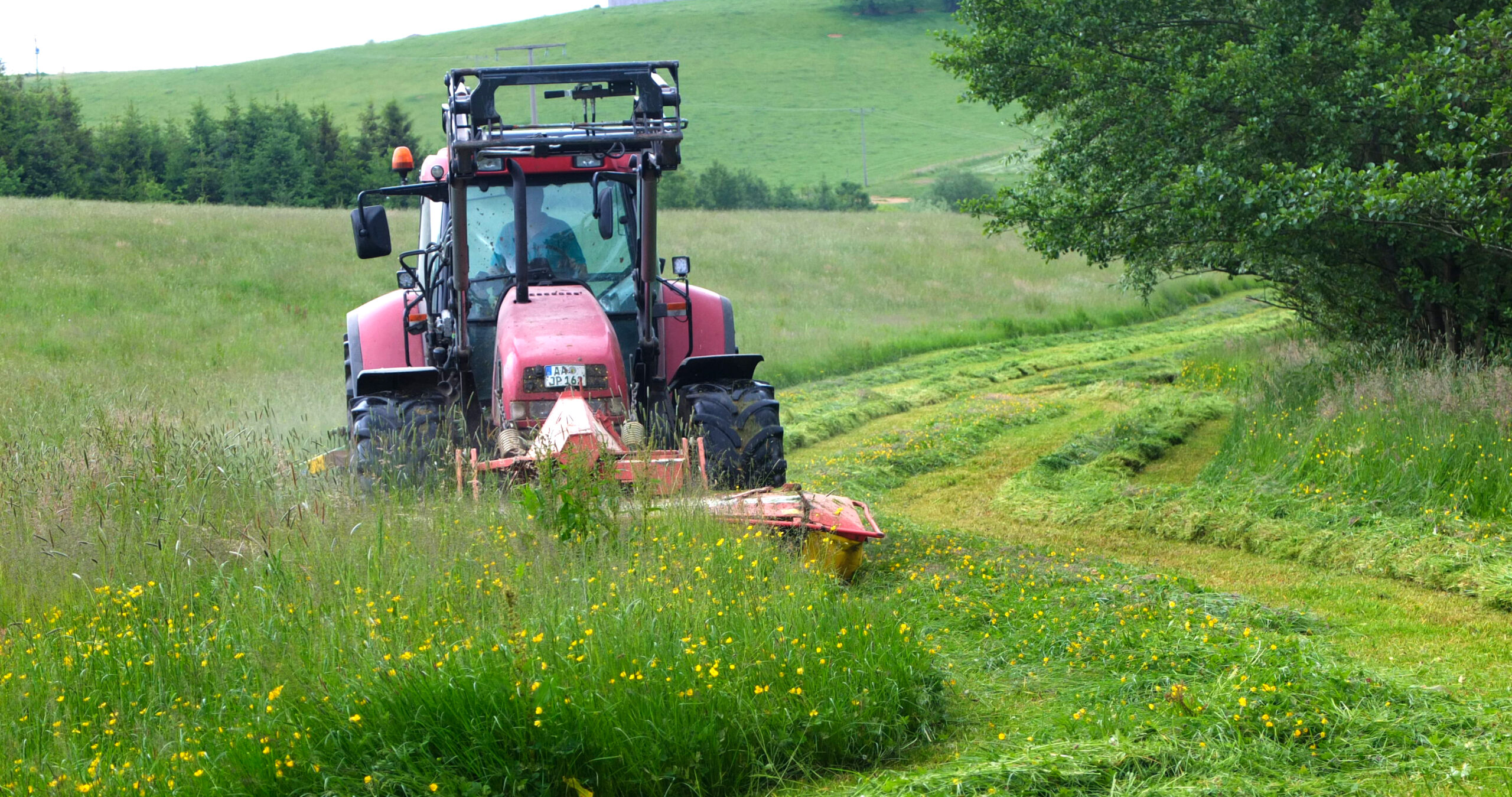 Traktor mit Mähwerk