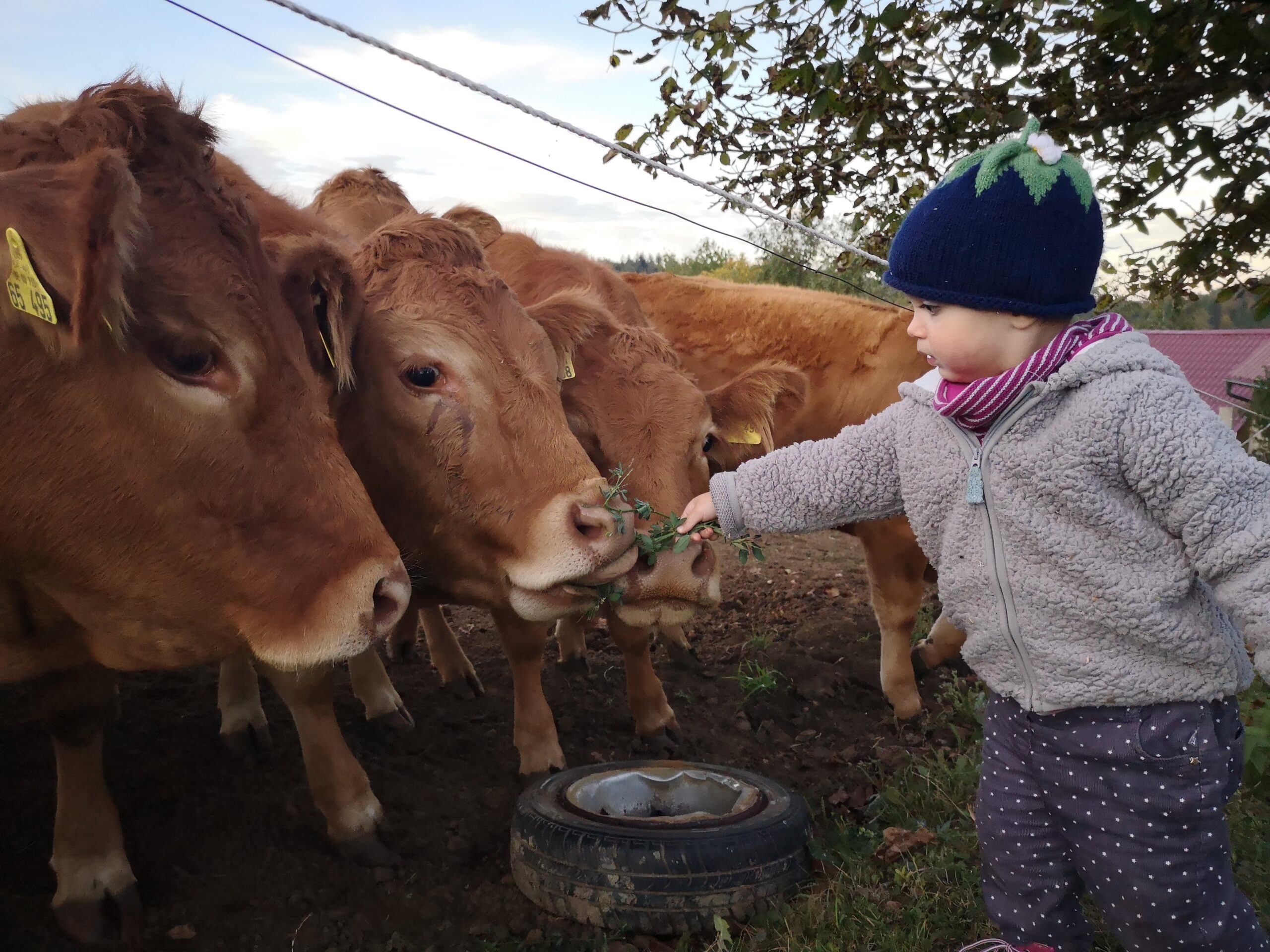 Kinder wachsen zusammen mit den Tieren auf.